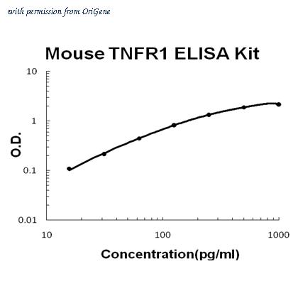 OriGene EA102190 image 1