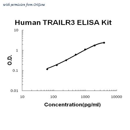 OriGene EA102191 image 1