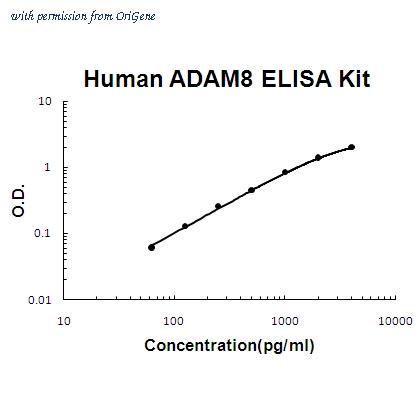 OriGene EA102198 image 1