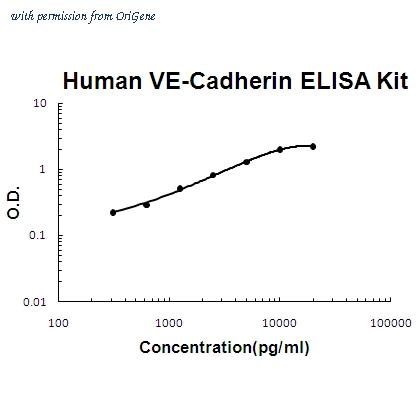 OriGene EA102268 image 1