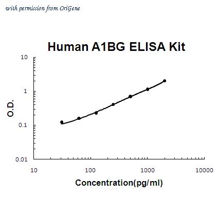 OriGene EA102342 image 1