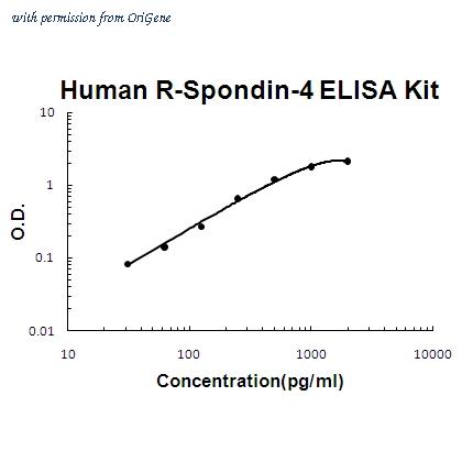 OriGene EA102344 image 1