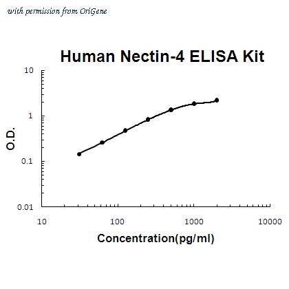OriGene EA102379 image 1