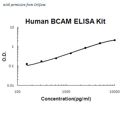 OriGene EA102386 image 1
