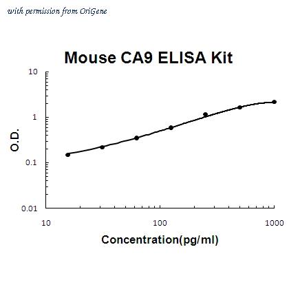 OriGene EA102420 image 1