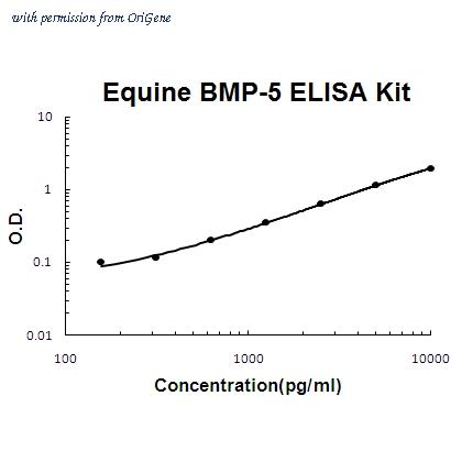 OriGene EA102791 image 1