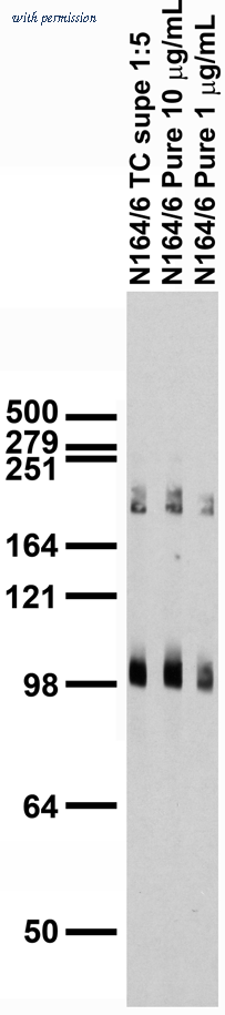 OriGene 73-182 image 1