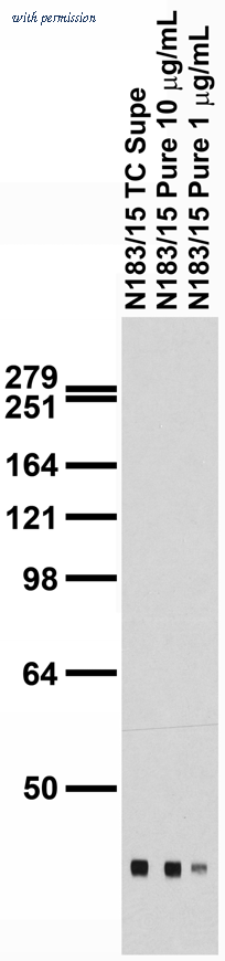 OriGene 73-200 image 1