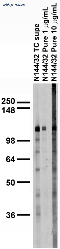 OriGene 75-178 image 1