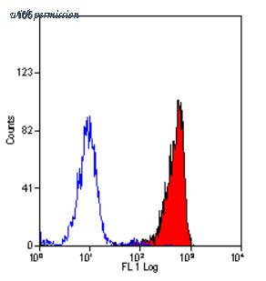 OriGene AM01269PU-N image 1