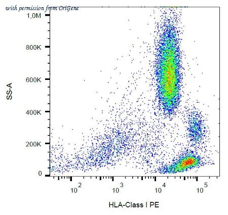 OriGene AM03005RP-N image 1