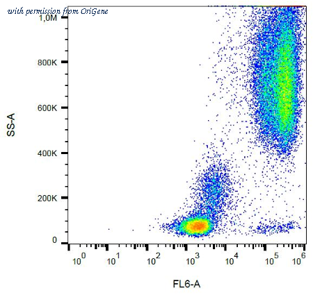 OriGene AM03032FC-N image 1