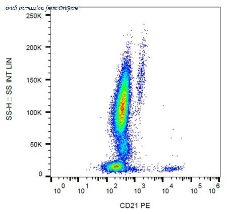 OriGene AM03064RP-N image 1