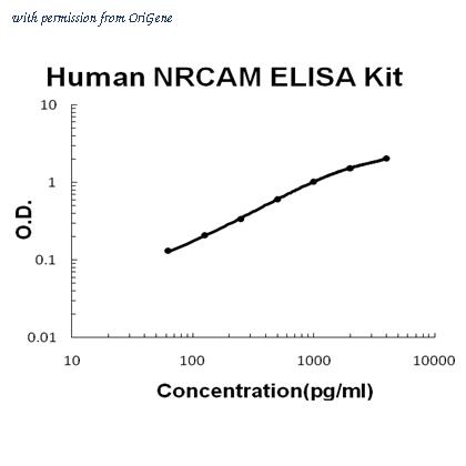 OriGene AM05378PU-N image 1