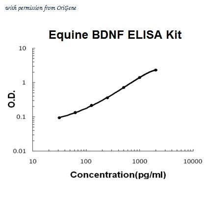 OriGene AM06240SU-N image 1