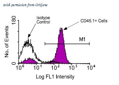 OriGene AM08062FC-N image 1