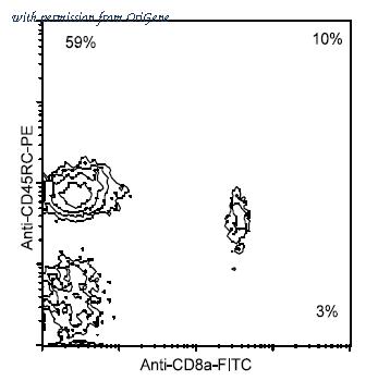 OriGene AM08070RP-N image 1