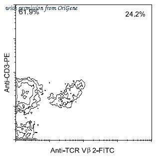 OriGene AM08119FC-N image 1