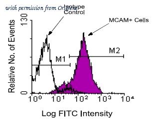 OriGene AM08137PU-N image 1