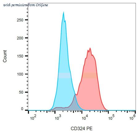OriGene AM26015RP-N image 1