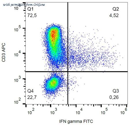 OriGene AM26712FC-N image 1