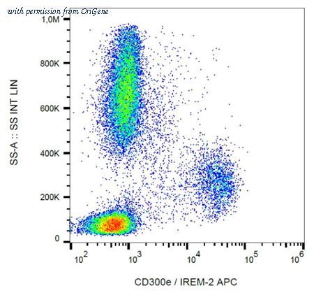 OriGene AM26758AC-N image 1