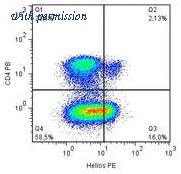 OriGene AM26777PU-N image 1