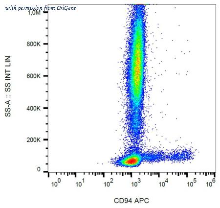 OriGene AM26784AC-N image 1
