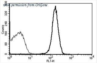 OriGene AM31184FC-N image 1