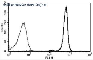 OriGene AM31224AF-N image 1