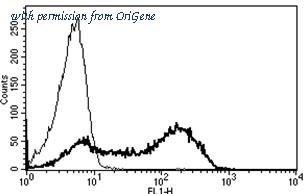OriGene AM31226FC-N image 1