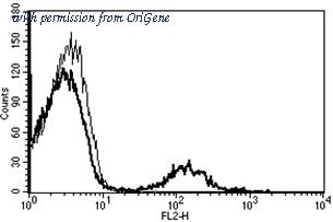 OriGene AM31228BT-N image 1
