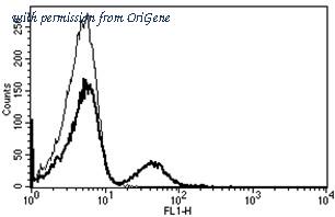 OriGene AM31228PU-N image 1