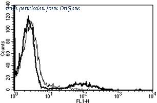 OriGene AM31254PU-N image 1