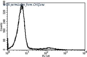 OriGene AM31256FC-N image 1