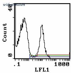 OriGene AM31858BT-N image 1
