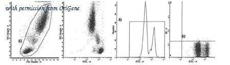 OriGene AM39019FC-N image 1