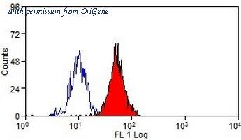 OriGene AM60041FC-N image 1