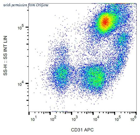OriGene BM4047APC image 1