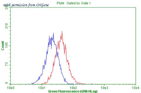 OriGene CF804014 image 1