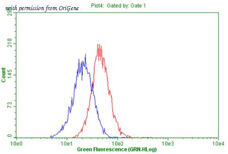 OriGene CF804016 image 1