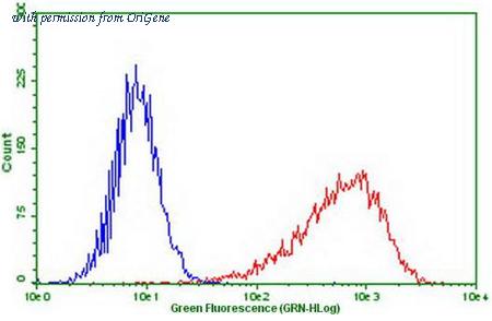 OriGene CF807847 image 1