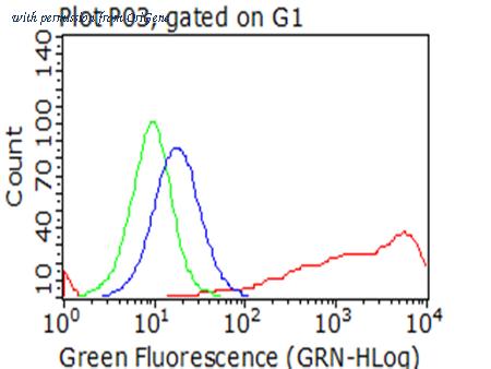 OriGene CF812986 image 1