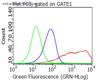 OriGene CF813199 image 1