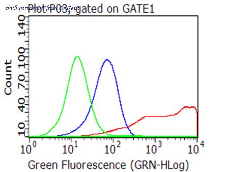 OriGene CF813210 image 1