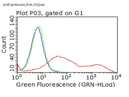 OriGene CF813246 image 1