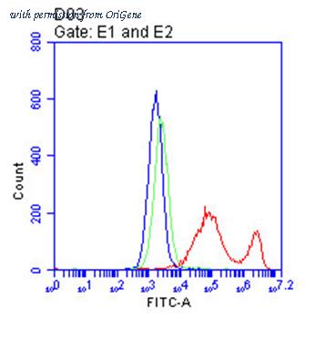 OriGene CF813472 image 1