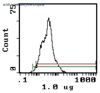 OriGene CL013FX image 1