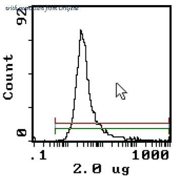 OriGene CL013RX image 1