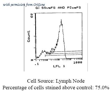 OriGene CL032A image 1